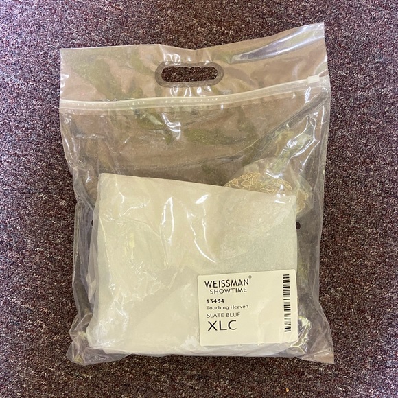 Weissman Touching Heaven Dance Costume 13434 - Picture 5 of 5